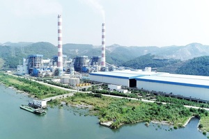 Nhiệt điện Quảng Ninh trả cổ tức lần 1 năm 2022 bằng tiền với tỷ lệ 5%