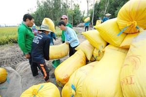 Soi doanh nghiệp "bùng" hợp đồng bán gạo cho Dự trữ Nhà nước