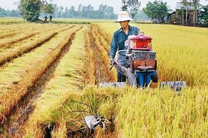 Tăng trưởng thấp nhất 8 năm, sức ỳ của nông nghiệp vốn vẫn là chuyện “cơm bữa”