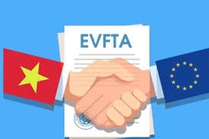 Thủ tướng phê duyệt Kế hoạch thực hiện Hiệp định EVFTA