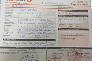 Thực hư chuyện đấu giá mầm lan huyền thoại Bướm Đại Ngàn 11,7 tỷ đồng