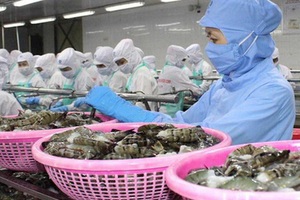 Việt Nam xuất siêu gần 11 tỷ USD trong mùa đại dịch covid-19