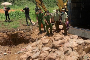 Tiêu hủy 1,2 tấn chân gà nhập lậu, phạt chủ hàng 20 triệu đồng