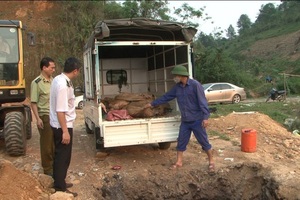 Tiêu hủy hơn 500 kg cá Tầm không rõ nguồn gốc