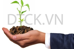 Top 10 cổ phiếu tăng/giảm mạnh nhất tuần: Sóng penny dâng cao