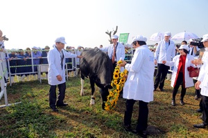 Sắp diễn ra Triển lãm Quốc tế về Công nghiệp chế biến, đóng gói và bảo quản nông sản thực phẩm – Vietnam PFA 2019