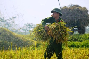 Trữ lương thực, hàng thiết yếu tại khu vực có nguy cơ bị chia cắt