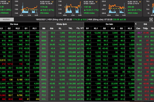Ức chế lỗi hệ thống, giới đầu tư chứng khoán "bó tay" nhìn thị trường