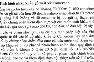 Vụ 70.000 m3 gỗ ngoại nghi né kiểm dịch thực vật, Chính phủ yêu cầu xử lý nghiêm