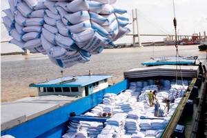 Xuất khẩu gạo đánh mất “cơ hội vàng”, doanh nghiệp tiếp tục khó khăn