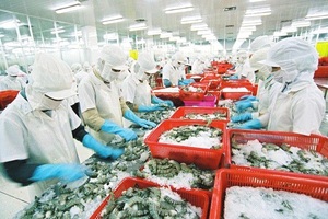 Xuất khẩu tôm, cá tra “tụt dốc”, mực, cá biển vẫn tiến lên