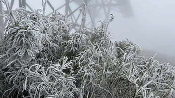 Snow falls on Fansipan Mountain