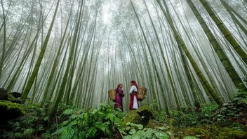 Stunning beauty of Vietnamese landscapes  introduced in Youtube video