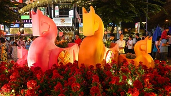 HCM City flower street opens for 2026 Lunar New Year