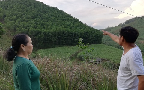 Sự thật nào vụ đất lâm nghiệp của dân bị tố “bỗng dưng” biến thành của doanh nghiệp?