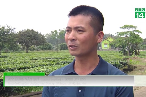 Hành trình người con tìm giải pháp cứu cha thoát khỏi ung thư