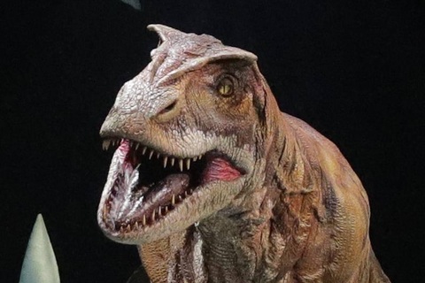 Khủng long bạo chúa sống theo bầy đàn?