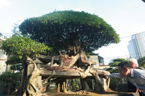 Chiêm ngưỡng báu vật tiền tỷ dưới chân cầu Thăng Long