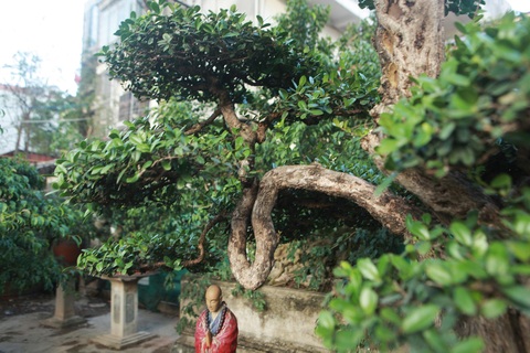 Chiêm ngưỡng hòn ngọc Viễn Đông giá tiền tỷ độc nhất vô nhị ở Việt Nam