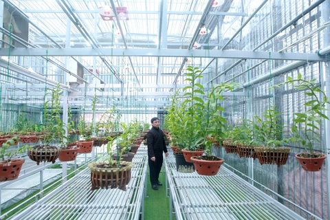 Lặng ngắm giàn lan đột biến khủng được làm từ 30 tấn thép trên sân thượng