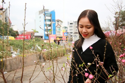 Đào, bưởi rủng rỉnh xuống phố phục vụ Tết dương lịch