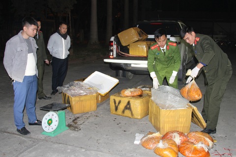 Lào Cai: Bắt giữ hơn nửa tấn trứng gà non bốc mùi vận chuyển về Hà Nội