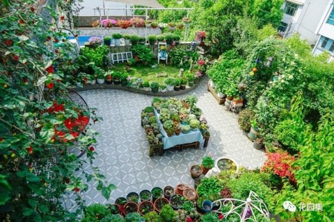 Trồng hoa trên sân thượng, cô gái tạo ra khu vườn cổ tích vạn người mê