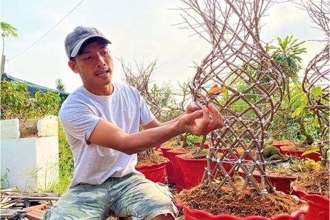 Chàng trai 8X và sản phẩm lộc bình mai cháy hàng dịp Tết Tân Sửu