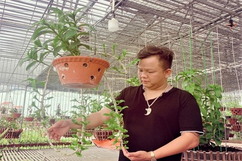 Chàng trai nghèo khởi nghiệp vươn lên làm giàu từ trồng hoa lan