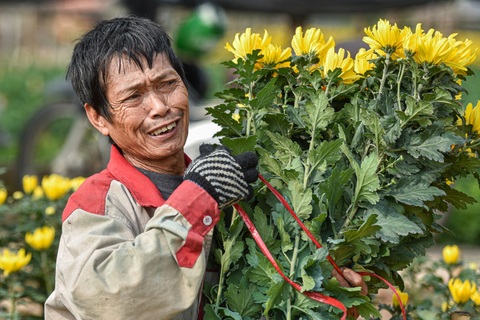 Giá hoa thấp kỷ lục, người trồng hoa Tây Tựu ngồi trên đống lửa