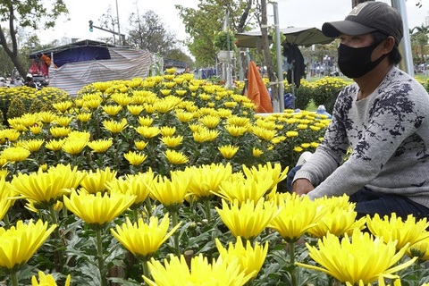 Ế hoa Tết, dân buôn thà đập chậu bỏ chứ không bán tháo