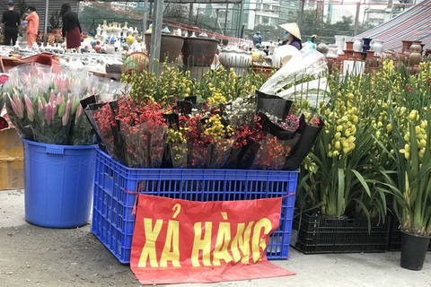 Dân buôn hoa Tết lỗ méo mặt, dịch vụ rửa xe tăng giá gấp 4 lần