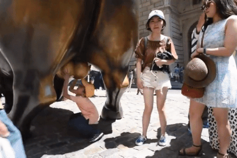 Thi nhau chạm tay vào tinh hoàn của tượng bò tót để cầu may