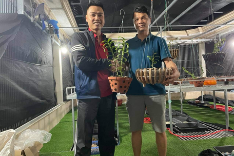 Nghệ nhân chia sẻ cách chăm sóc hoa lan sau khi chơi Tết sao cho đúng cách