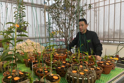 Nghệ nhân Nguyễn Văn Mạnh bật mí cách xử lý cây con, tưới nước cho cây lan