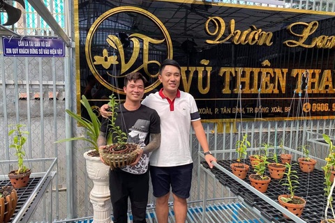 Nghệ nhân Đỗ Thiên Vũ bật mí về kỹ thuật chăm sóc cho hoa lan