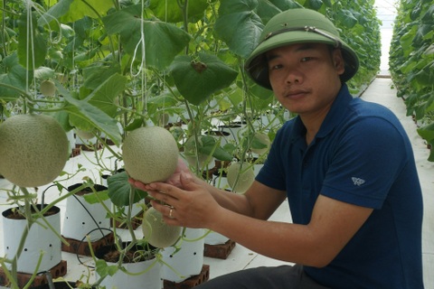 8X khiến vùng đất bỏ hoang đẻ ra tiền