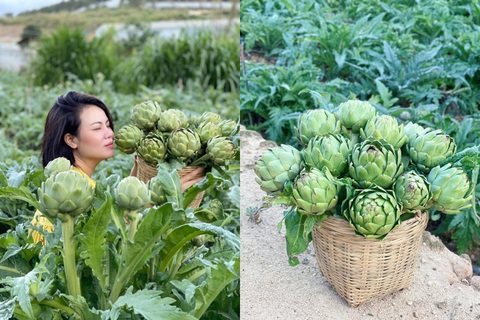 Mẹ đơn thân bỏ phố về rừng, thuê đất làm xưởng chế biến nông sản ở Đà Lạt