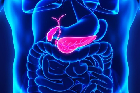 Các triệu chứng của ung thư tuyến tụy