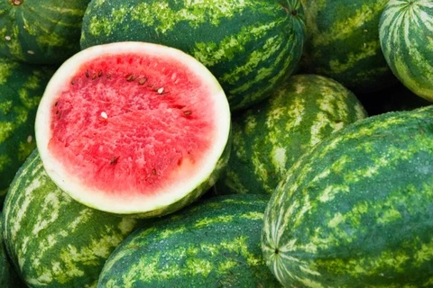 Dưa hấu có nguồn gốc từ đâu?