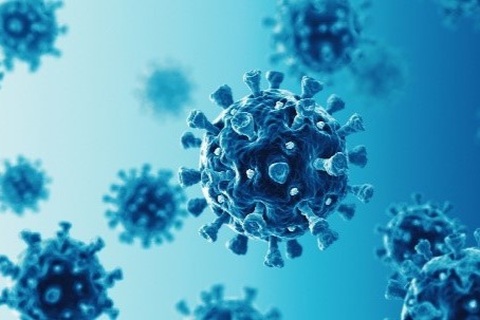 Ít kháng thể, bệnh nhân ung thư máu có thể chống lại COVID-19 bằng tế bào T