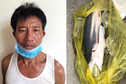 Cho cá ngậm ma túy để qua mặt lực lượng chức năng
