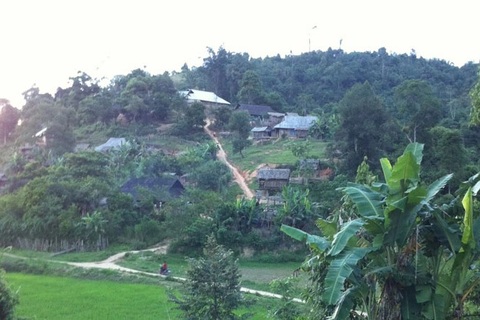 Đang nằm ngủ trong nhà, bé 4 tuổi bị sét đánh tử vong