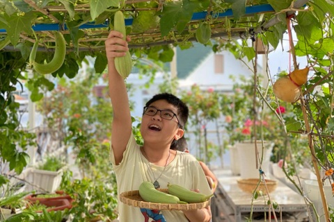 Vườn hồng rực rỡ, giàn mướp sai trĩu giữa mùa dịch của mẹ đảm tại TPHCM