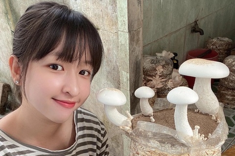 Cô gái Đồng Tháp bỏ phố về quê trồng nấm, thu chục triệu đồng mỗi tháng