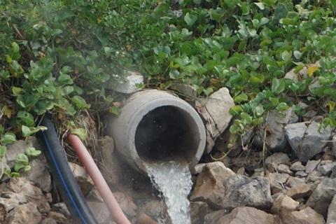 Xả thải bẩn, 2 công ty chế biến hải sản bị phạt gần một tỷ đồng