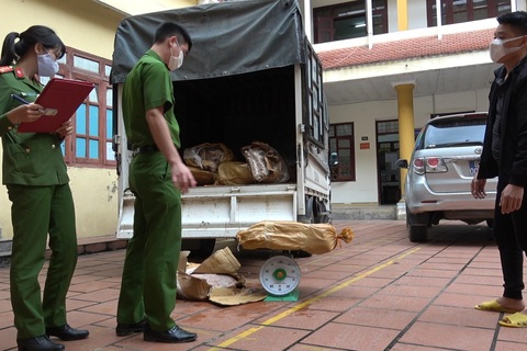 Thu giữ nửa tấn chân gà không rõ nguồn gốc, bốc mùi hôi thối