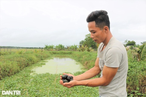 Bỏ TPHCM về quê, 9X nuôi loài "ăn bẩn ở sạch", kiếm 15 triệu/tháng nhẹ tênh