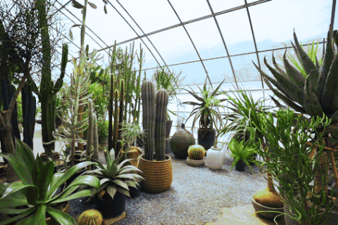 Cặp vợ chồng bỏ phố về quê, dành 6 năm làm nhà vườn 1.500m2 đẹp như tranh