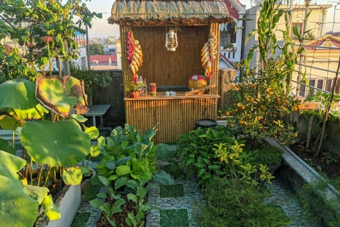 Khu vườn treo 100m2 tươi tốt như rừng nhiệt đới của gia đình Hải Phòng